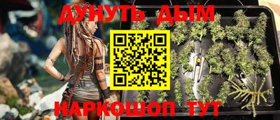 таблы Новозыбков
