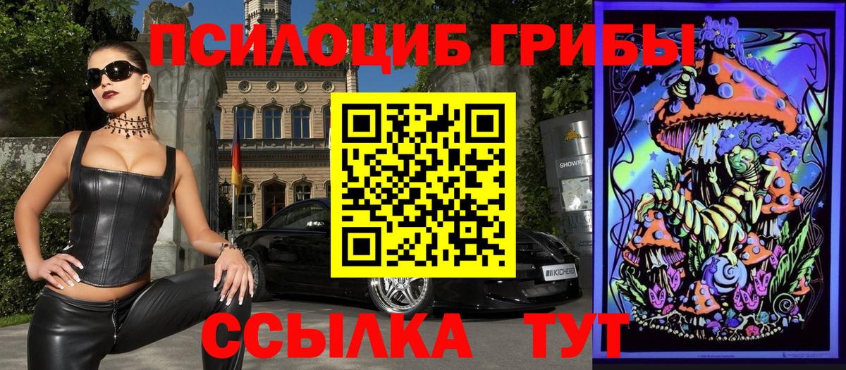 Псилоцибиновые грибы мицелий Троицк
