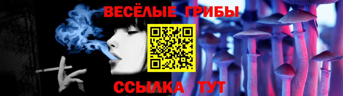 Галлюциногенные грибы прущие грибы  Псилоцибиновые грибы GOLDEN TEACHER  Вход с VPN  Троицк 